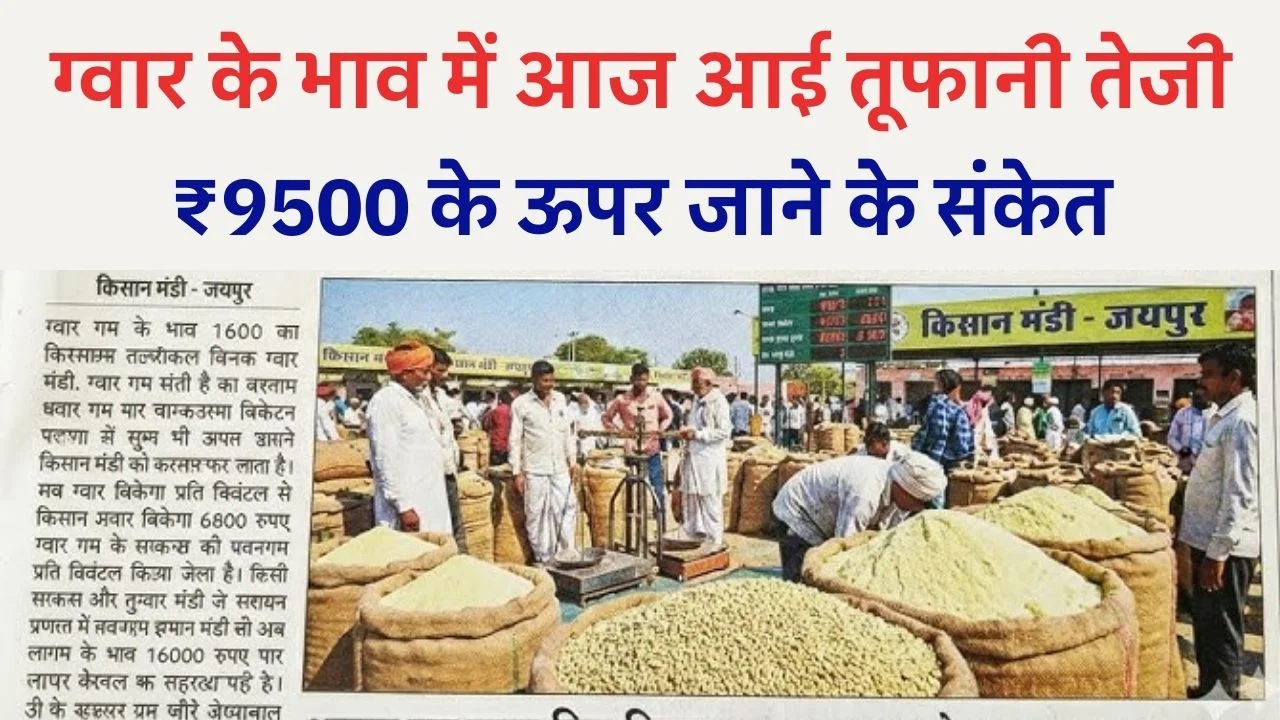 Guar Bhav Today Good News